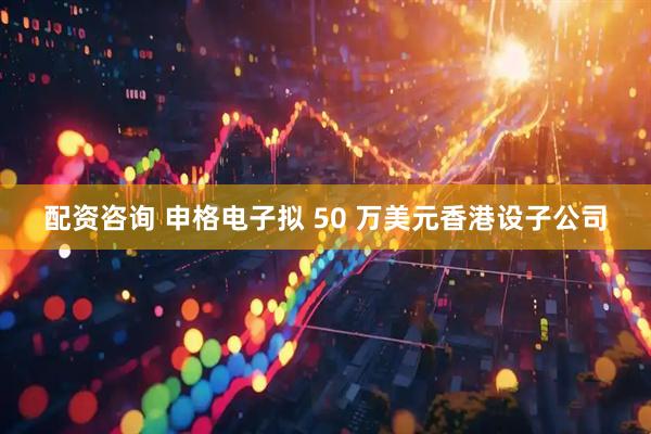 配资咨询 申格电子拟 50 万美元香港设子公司