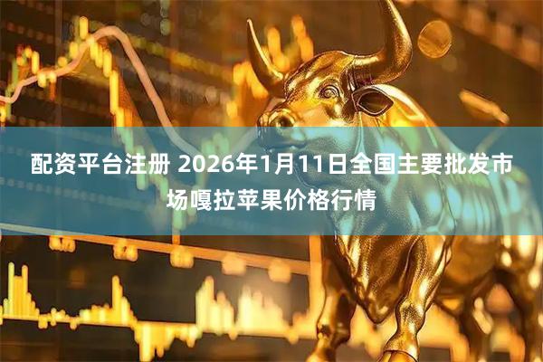 配资平台注册 2026年1月11日全国主要批发市场嘎拉苹果价格行情