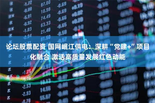 论坛股票配资 国网岷江供电：深耕“党建+”项目化融合 激活高质量发展红色动能